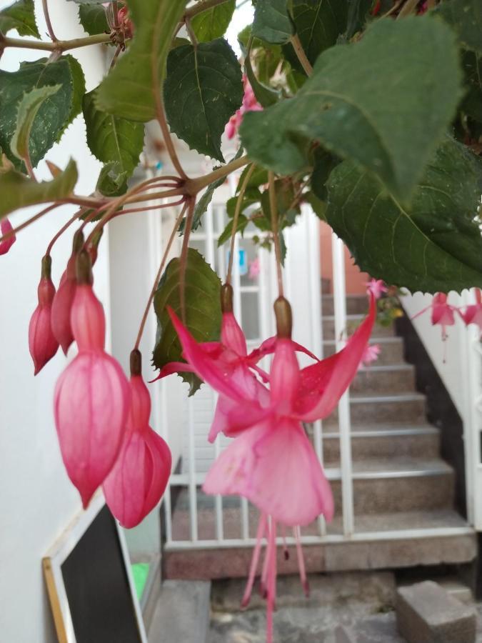 Cusco Vista Guest House Bagian luar foto